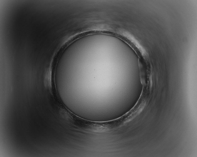 X0000087521270200705181006