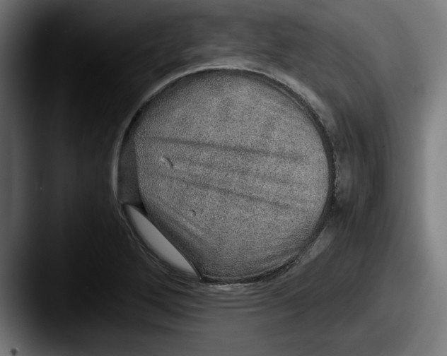 X0000087521272200705181006