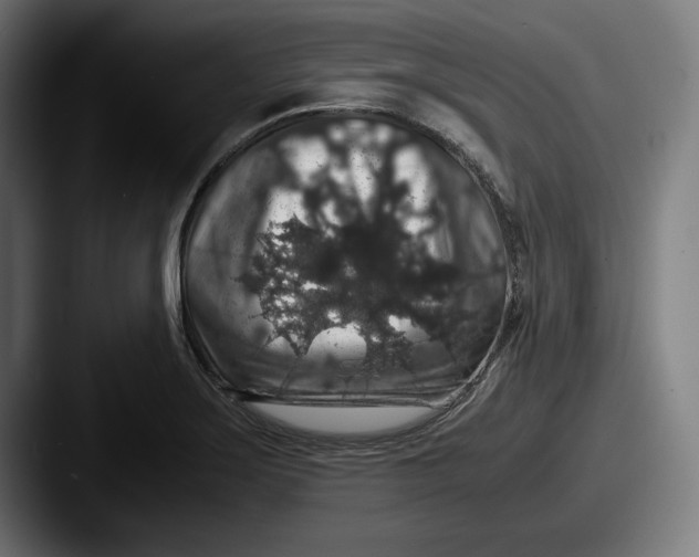 X0000087521275200705181006