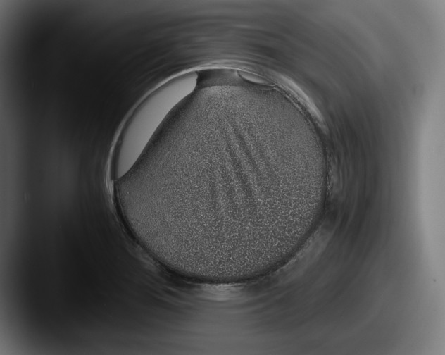 X0000087521276200705181006