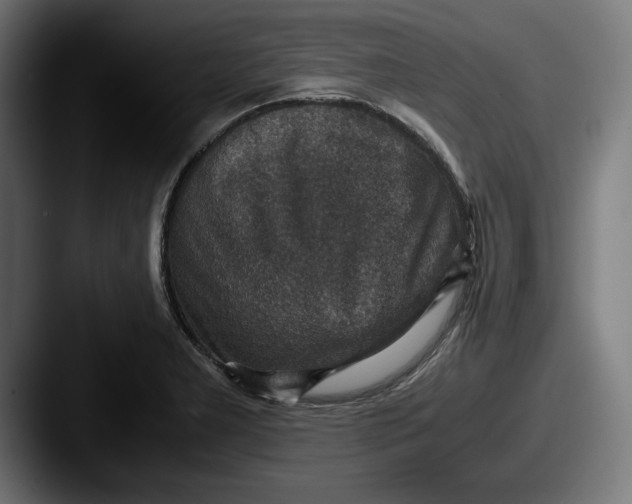 X0000087521277200705181006