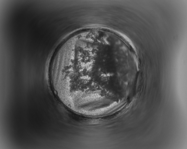 X0000087521279200705181006