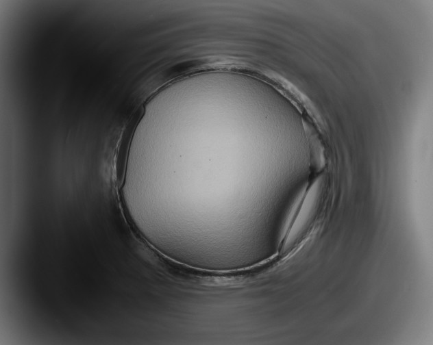 X0000087521281200705181006