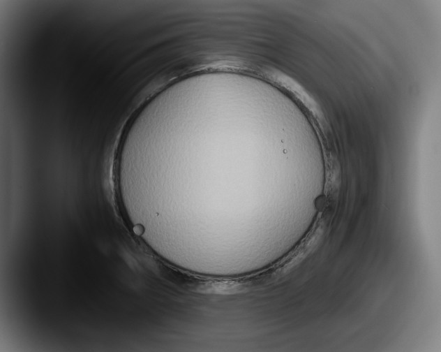 X0000087521282200705181006