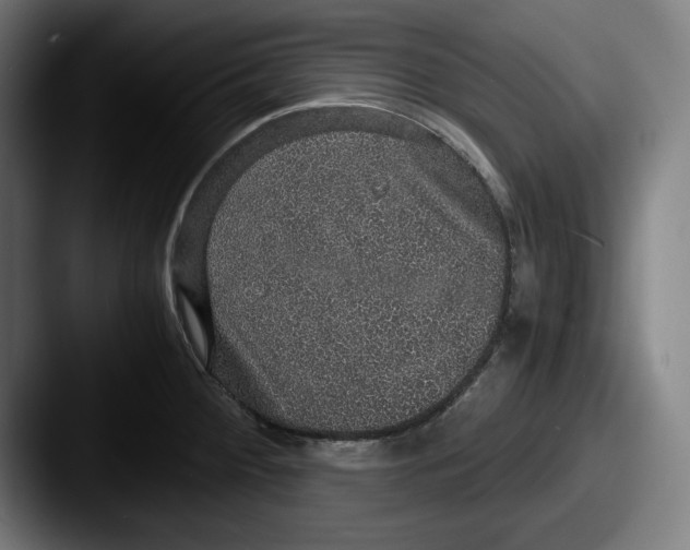 X0000087521284200705181006