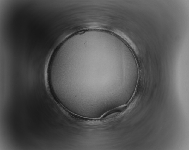 X0000087521285200705181005