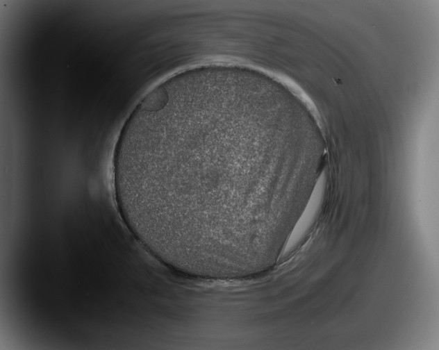 X0000087521287200705181005