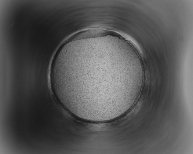 X0000087521288200705181005