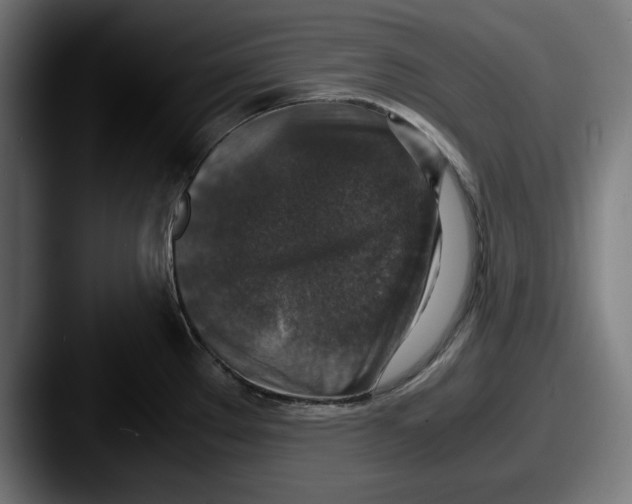 X0000087521289200705181005