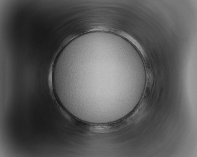 X0000087521290200705181005