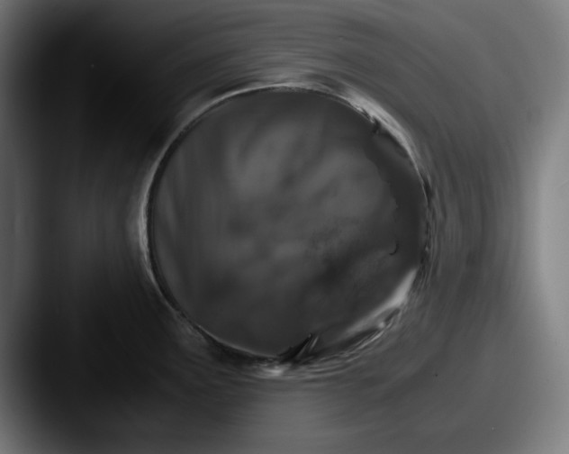 X0000087521291200705181005