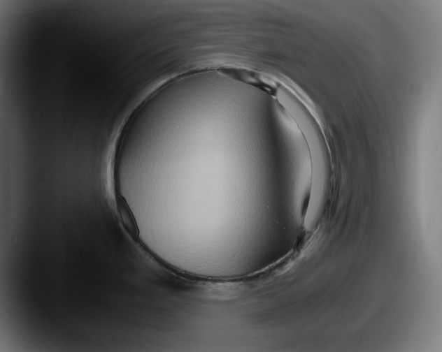 X0000087521293200705181005