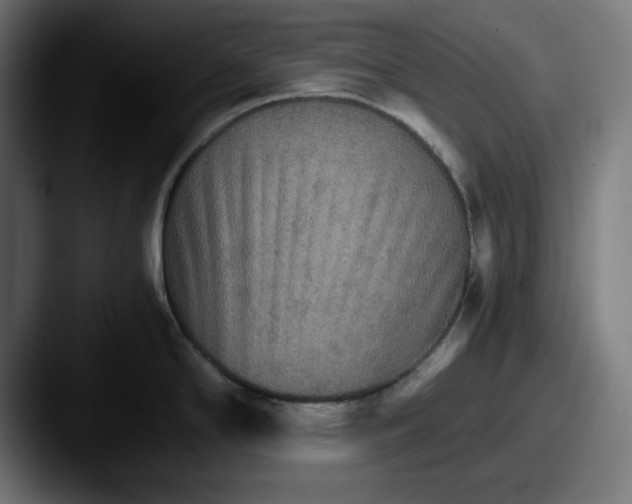 X0000087521294200705181005