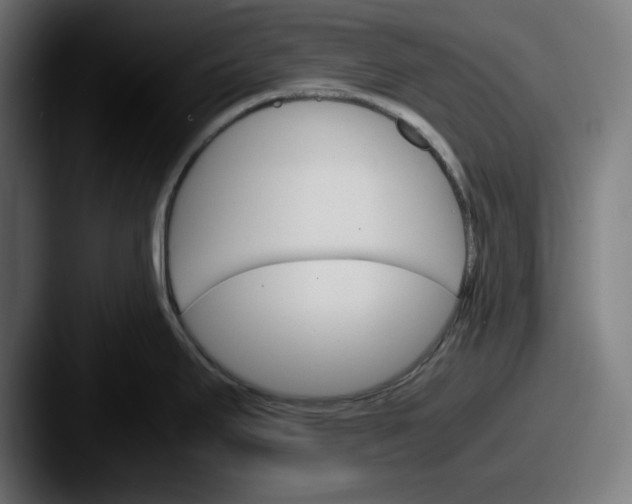 X0000087521295200705181005