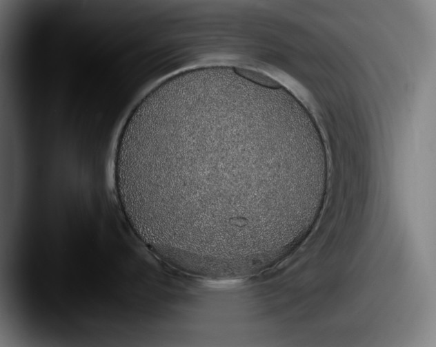 X0000087521296200705181005