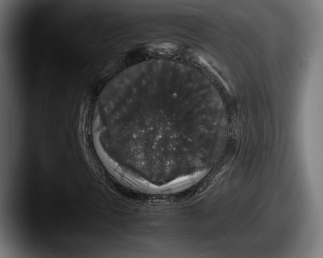 X0000087521297200705181005