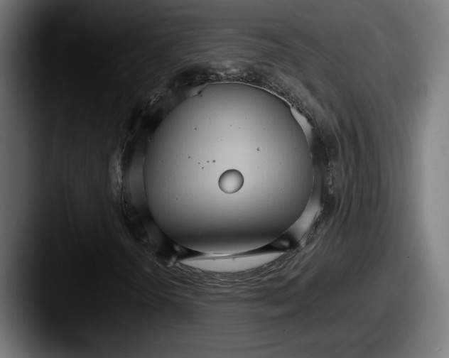 X0000087521298200705181005