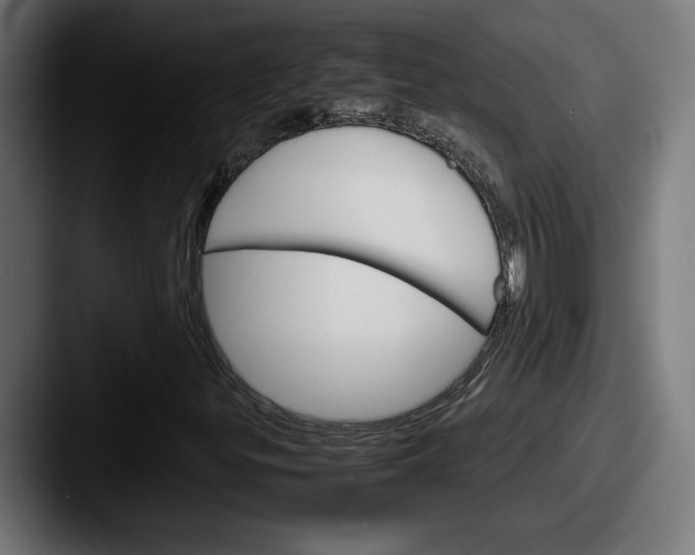 X0000087521299200705181005