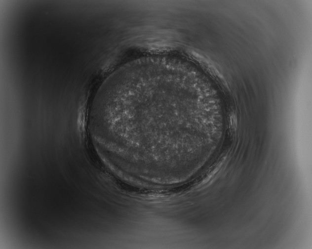 X0000087521300200705181005