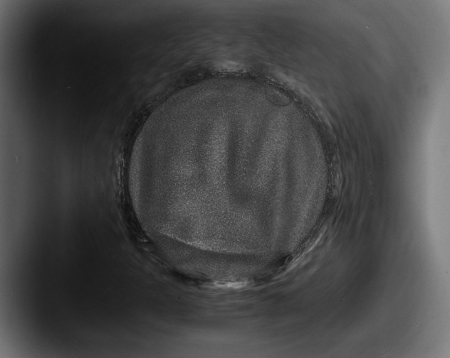 X0000087521301200705181005