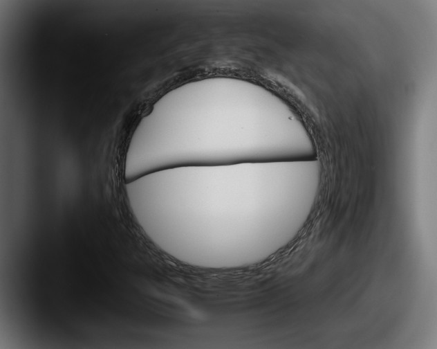 X0000087521303200705181005