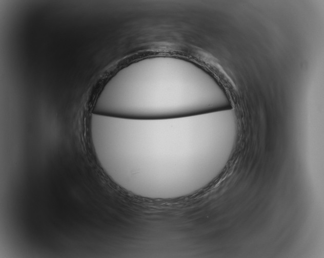 X0000087521304200705181005