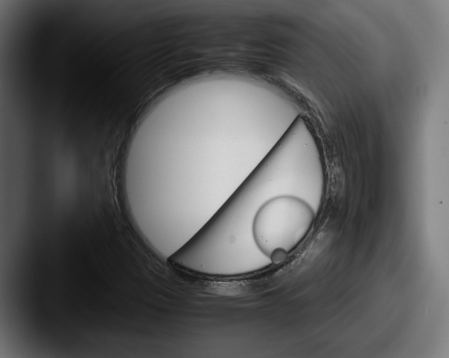 X0000087521305200705181005