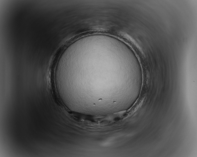 X0000087521307200705181005