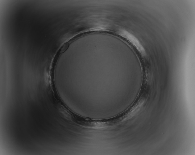 X0000087521308200705181005