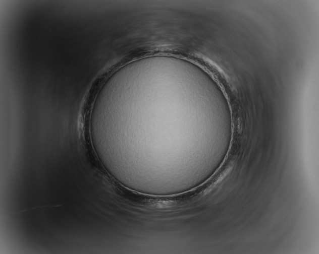 X0000087521309200705181005