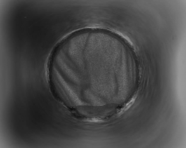 X0000087521311200705181005