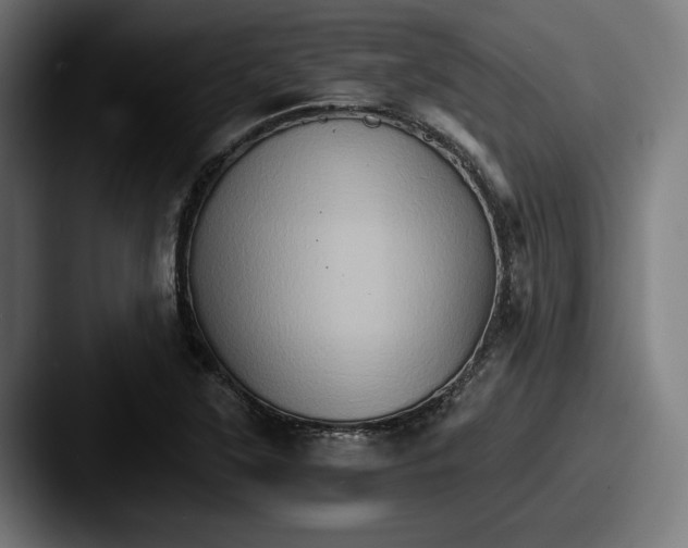 X0000087521315200705181005