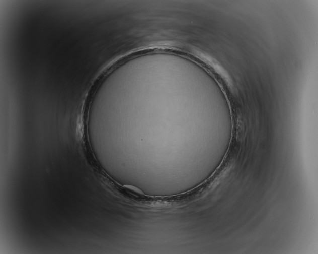 X0000087521316200705181005