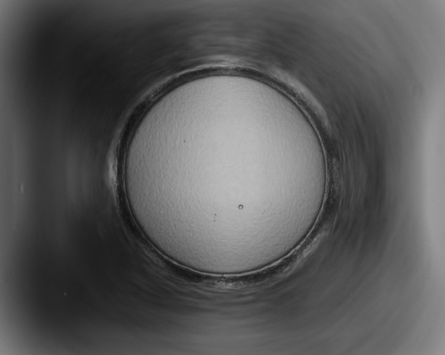 X0000087521318200705181005