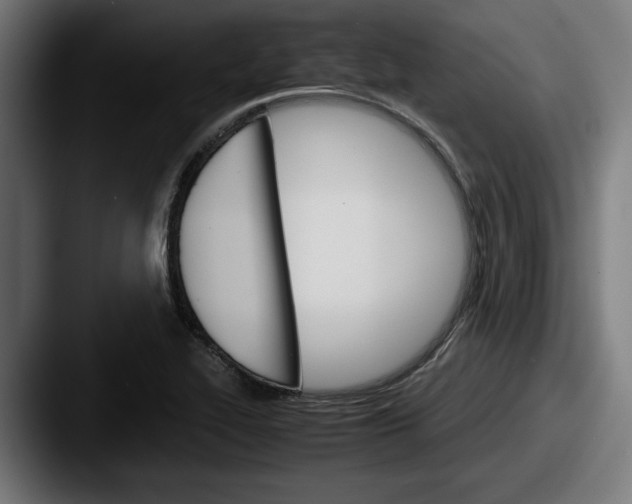 X0000087521319200705181005