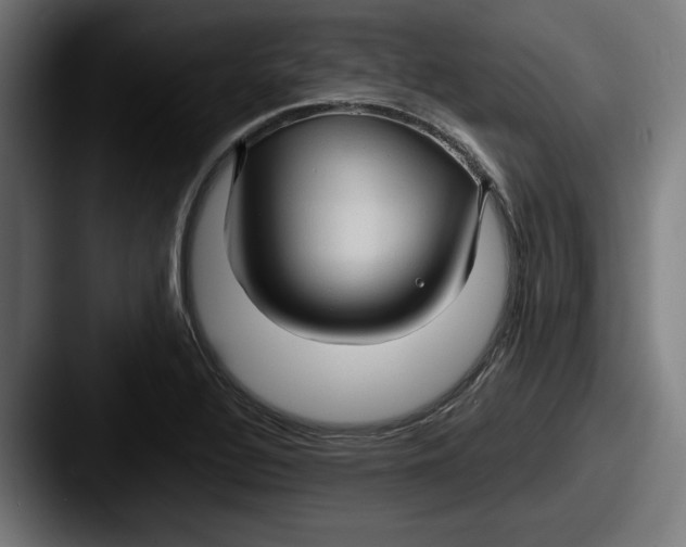 X0000087521320200705181005