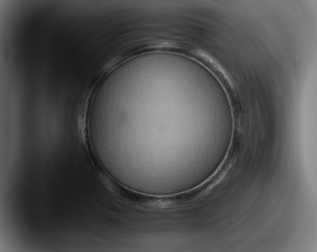 X0000087521321200705181005