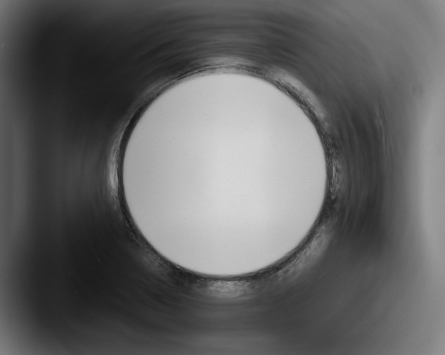 X0000087521322200705181005