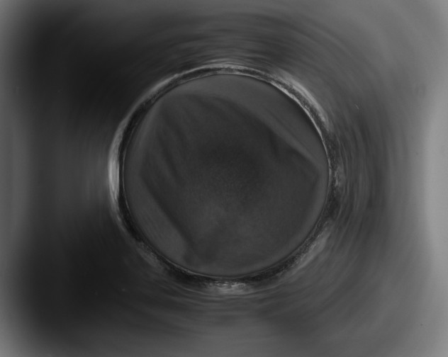 X0000087521323200705181005