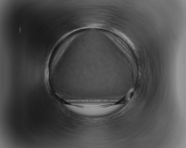 X0000087521324200705181005