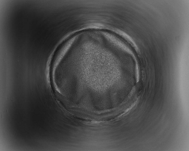 X0000087521326200705181005