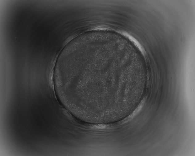 X0000087521329200705181005