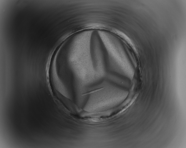 X0000087521330200705181005