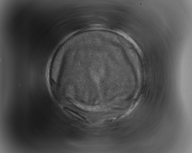 X0000087521333200705181005