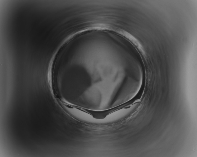 X0000087521334200705181005