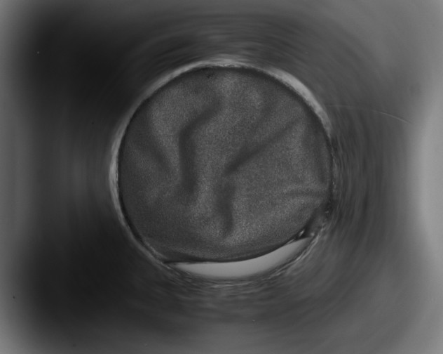 X0000087521335200705181005