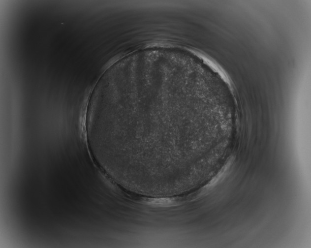 X0000087521337200705181005