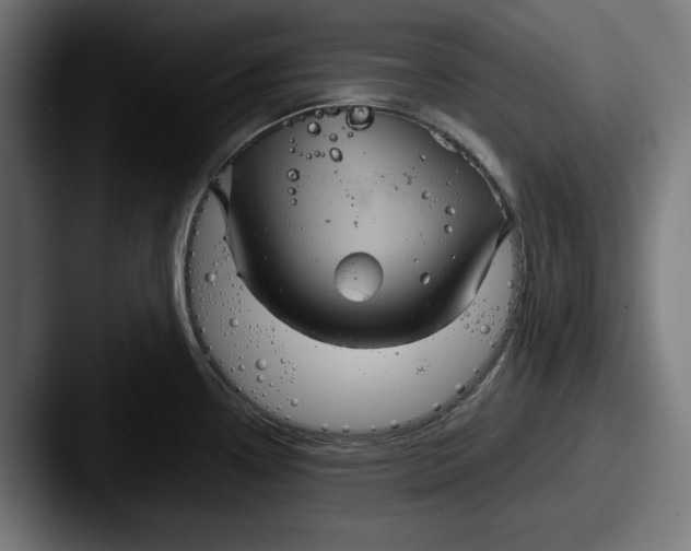 X0000087521338200705181005