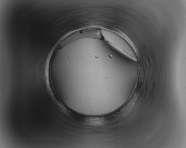 X0000087521339200705181005