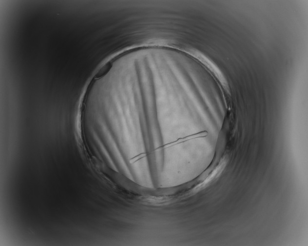 X0000087521340200705181005